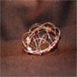 lotus.jpg (6410 bytes)
